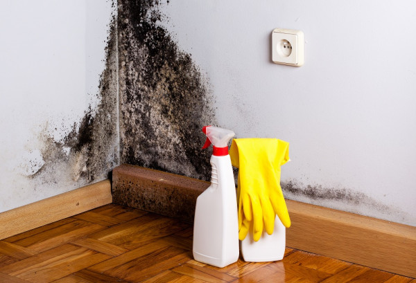 8 Tips For Getting Rid Of Mould Under Flooring image