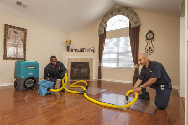 Comparing Water Damage Restoration Services: What To Look For? image
