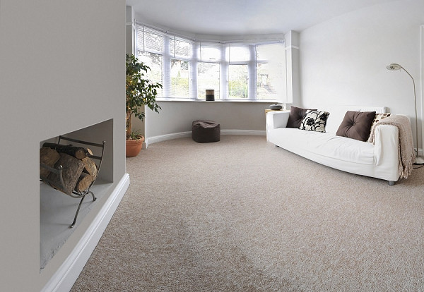 Carpet for a living room