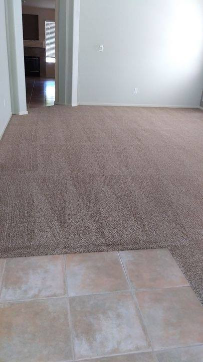 Carpet Cleaning Bracken Ridge image
