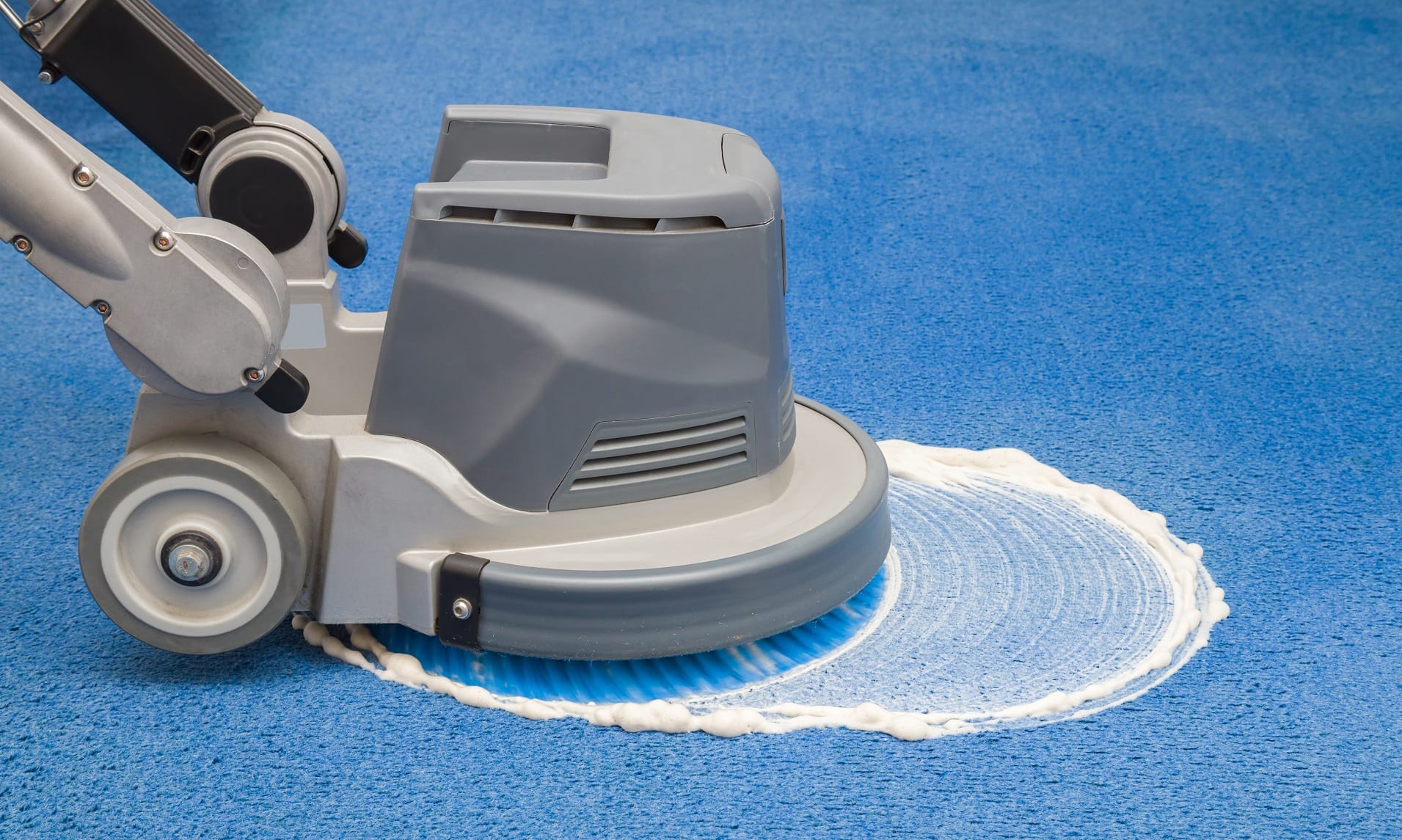 How to clean carpet. Carpet cleaning guide for home and business owners., image 3